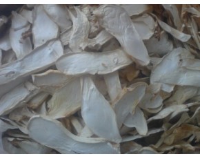 杏胞菇。雞腿菇，雙孢菇，草菇
