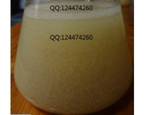 食用菌液體菌種培養(yǎng)基|培養(yǎng)料|設(shè)備