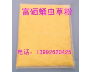 富硒腎蟲草,富硒蛹蟲草粉