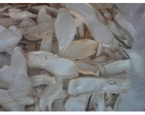 共應(yīng)雙孢菇，草菇，杏胞菇干品15998701239