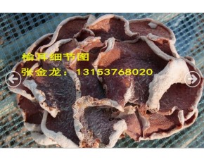 供應(yīng)榆耳