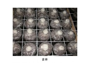 網(wǎng)格