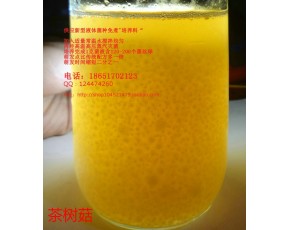 茶樹菇 液體菌種 發(fā)酵罐 培養(yǎng)基 營(yíng)養(yǎng)料 培養(yǎng)料