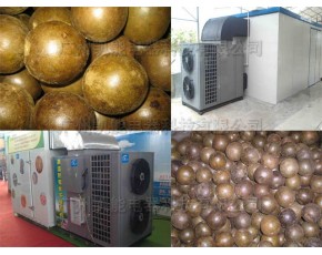 最好最先進(jìn)的羅漢果烘干除濕機(jī)