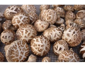 湖北隨州農(nóng)家自產(chǎn)香菇、花菇大量現(xiàn)貨求買家