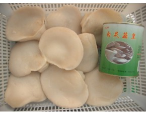 鹽水白靈菇