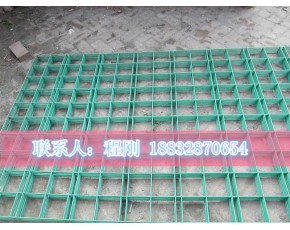 安平光久供應蘑菇養(yǎng)殖網(wǎng)，菌類養(yǎng)殖網(wǎng)格