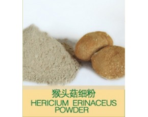 猴頭菇粉，猴頭菇餅干原料