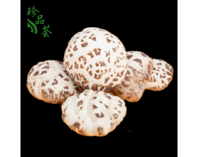 花菇 香菇 原木菇 頂級原木花菇 特級香菇干貨 