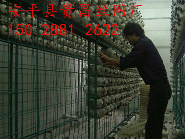 食用菌網(wǎng)格網(wǎng)架，出菇房網(wǎng)格，蘑菇網(wǎng)片
