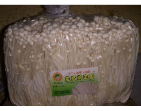 金針菇、黑木耳、北蟲草
