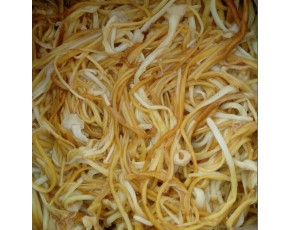 金針菇