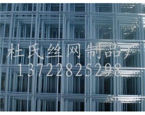 杏鮑菇網(wǎng)格，網(wǎng)架