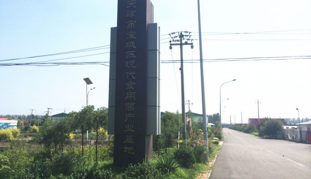天津?qū)氎鎱^(qū)現(xiàn)代食用菌產(chǎn)業(yè)基地