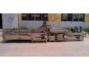 大棗清洗機(jī)，干棗清洗機(jī)，大棗清洗機(jī)廠家