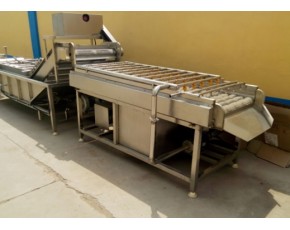 大棗清洗機(jī)，干棗清洗機(jī)，大棗清洗機(jī)廠家