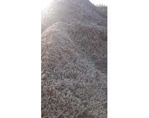 山東省菏澤供應(yīng)屋頂上玉米芯顆粒，無霉變無雜質(zhì)，水分14以下