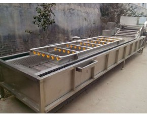 蘑菇清洗機(jī)，食用菌加工設(shè)備