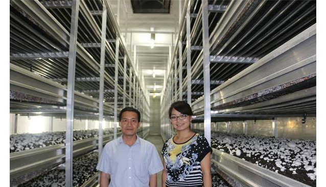 江蘇裕灌食用菌基地