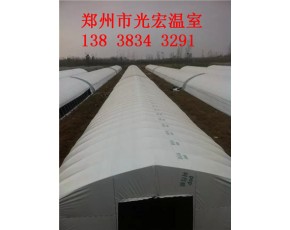 新型蘑菇大棚建造設(shè)計(jì)安裝鄭州大棚配件銷售