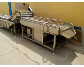 茭白清洗機，毛輥清洗機，蔬菜清洗機廠家