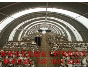 蘑菇大棚建造設(shè)計(jì)廠家長垣食用菌大棚建造標(biāo)準(zhǔn)