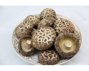 土特產(chǎn)伏牛山脈花菇食用菌批發(fā)