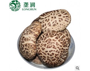土特產(chǎn)盧氏干香菇食用菌批發(fā)
