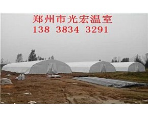 養(yǎng)殖大棚建造陽泉食用菌大棚建造成本