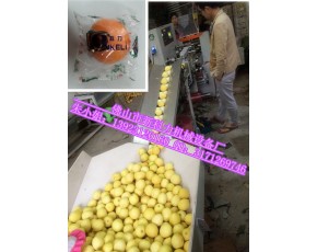 檸檬自動(dòng)包裝機(jī)械