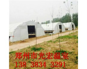 香菇大棚建造滄州食用菌養(yǎng)殖大棚建造典范