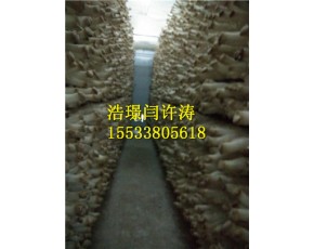 杏鮑菇網(wǎng)格架