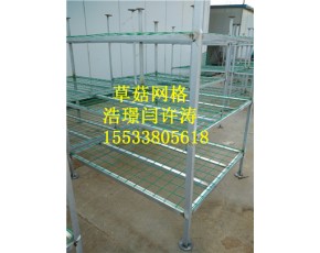 草菇網(wǎng)格