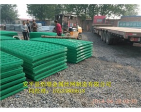 杏鮑菇網(wǎng)格