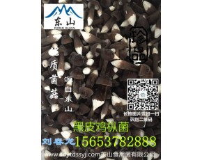 雞樅菌種植技術美味雞樅菌綠色產品					