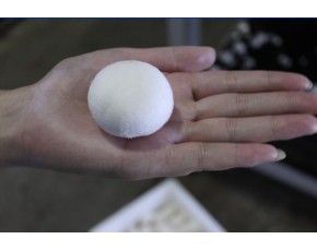 大量新鮮草菇、雙孢菇、白菇供應(yīng)