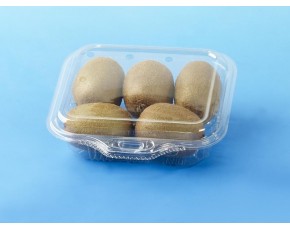 四川廠家直銷各類吸塑包裝盒吸塑托盤食品包裝盒PET