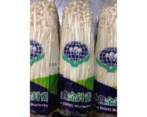 利鑫金針菇