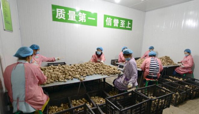 河南：小香菇讓村民在家門口實(shí)現(xiàn)致富夢(mèng)
