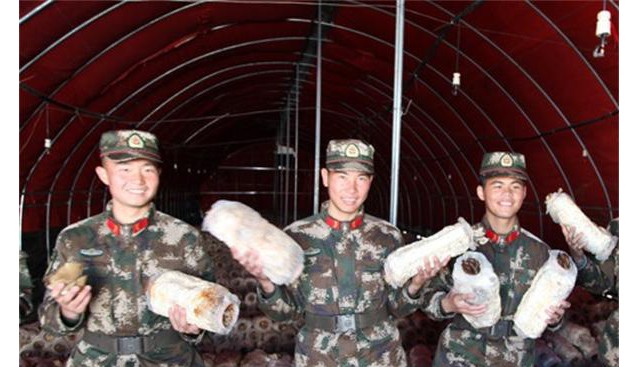云南：香格里拉小中甸鎮(zhèn)食用菌扶貧項(xiàng)目正式啟動(dòng)
