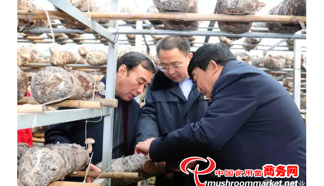 河南：三門峽市出入境檢驗(yàn)檢疫局領(lǐng)導(dǎo)到昌盛香菇基地實(shí)地考察
