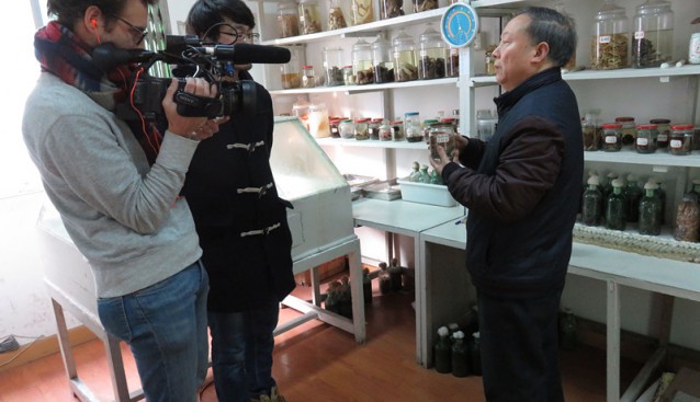 四川省綿陽食用菌協(xié)會：法國國家電視臺赴綿陽采訪中國羊肚菌專家