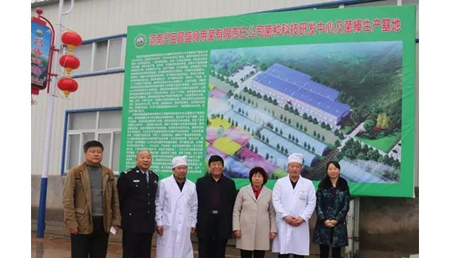 河南：省扶貧辦赴靈寶市香菇基地考察觀摩