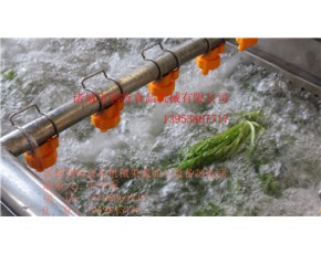 黑木耳專用清洗機 食用菌蘑菇清洗機 食用菌清洗設備 食用菌清洗流水線