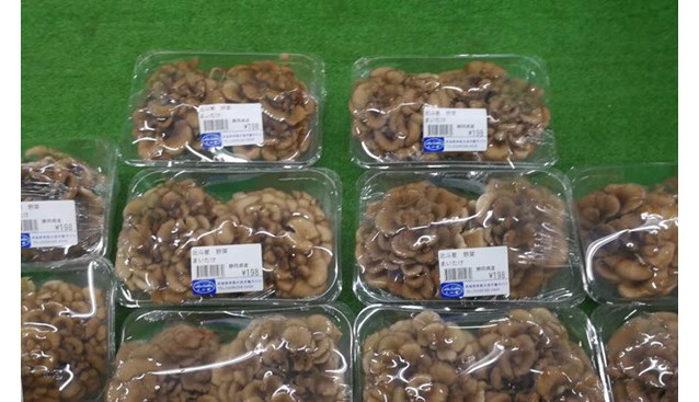 日本市場(chǎng)流通中的小包裝食用菌
