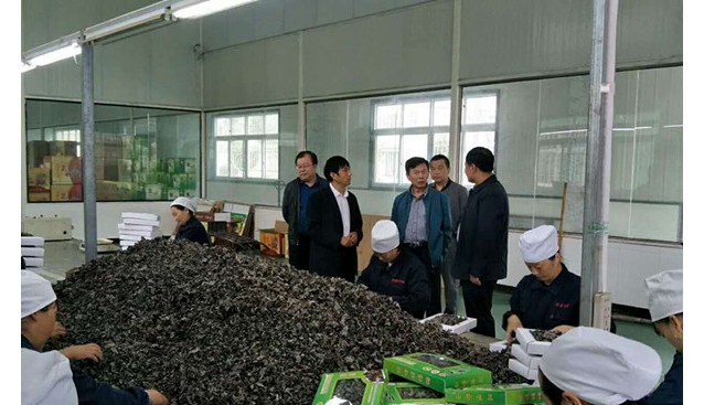 山東：青島市李滄區(qū)商務(wù)局領(lǐng)導(dǎo)一行到訪甘肅康縣興源公司