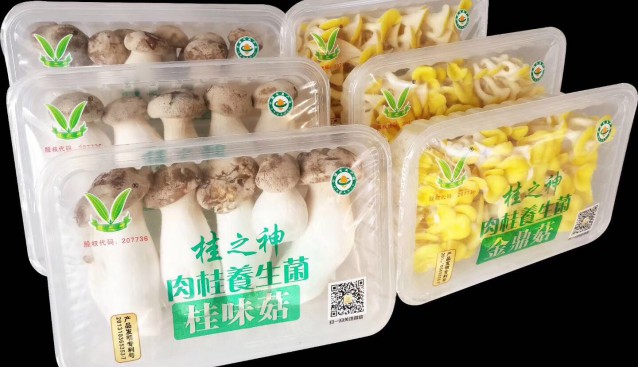 廣東：桂之神食用菌產(chǎn)品喜獲廣東省名牌產(chǎn)品稱號