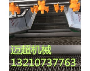 食用菌清洗設備  高壓噴淋蘑菇氣泡清洗機 果蔬清洗機