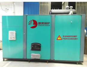 遼寧食用菌鍋爐廠環(huán)保節(jié)能鍋爐燃?xì)?燃油/生物質(zhì)鍋爐