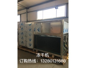 廠家出售真空凍干機(jī)，花菇多功能凍干設(shè)備銀耳冷凍干燥機(jī)